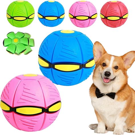 frisbee ball for dogs