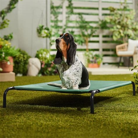 Frisco Elevated Dog Bed Large