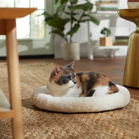Frisco Self Warming Cat Bed