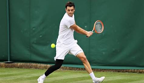 Tennis-Fritz flies into Wimbledon quarters to earn family stripes | Nestia