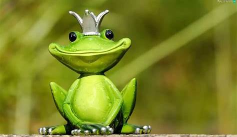 Cartoon frog with crown stock illustration. Illustration of animal