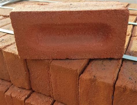 Frog Common Brick