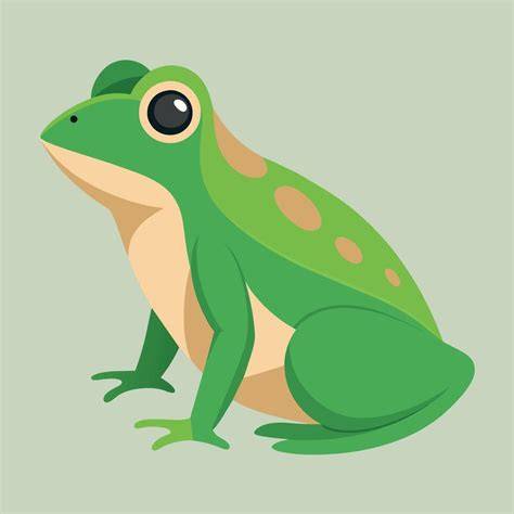 frog illustration vector graphics