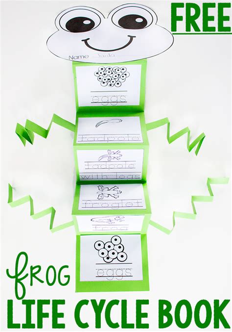 Frog Life Cycle Booklet