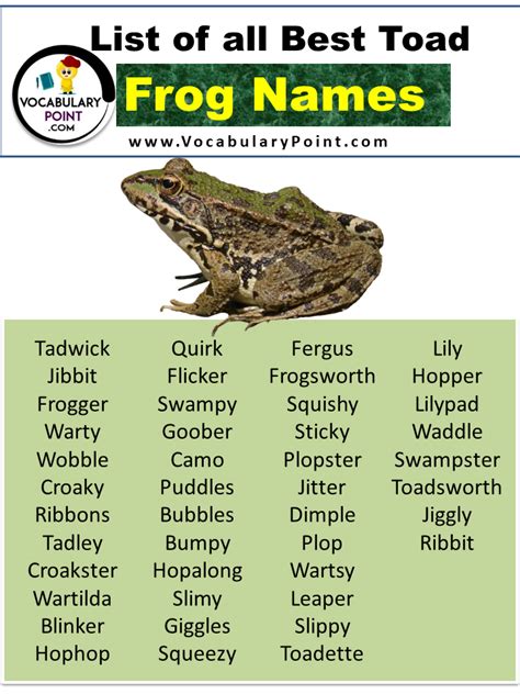 Frog Names That Start With F
