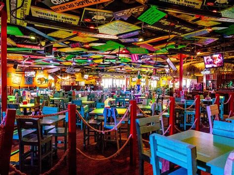 Frog Restaurant Florida