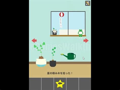 Frog Room Walkthrough