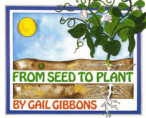 From Seed To Plant Printable Book