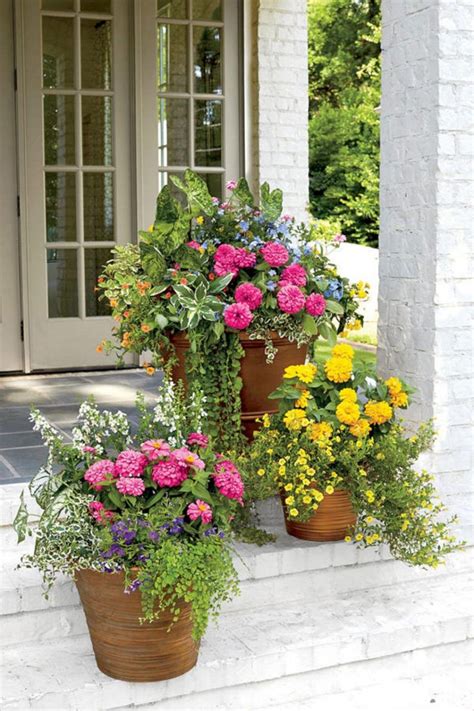 Geranium Front porch flower pots, Patio container gardening, Porch