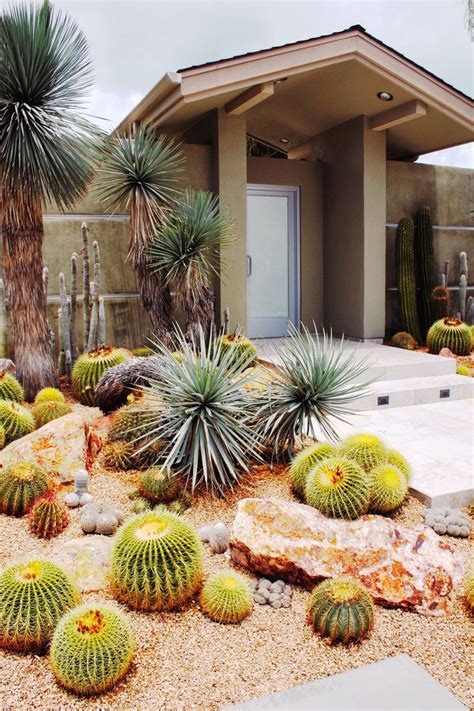 Beautiful Cactus Landscaping Ideas For Your Front Yards Decor 26