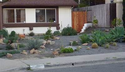 Front Yard Desert Landscaping Ideas On A Budget