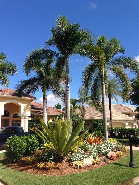 Cute palm gardening ideas for front yard 53 trees for front yard