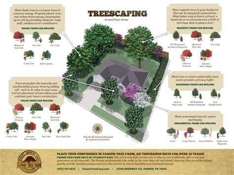 tree landscaping Google Search Trees for front yard, Front yard
