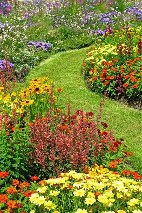 Design your yard with native plants wildflower garden, front yard