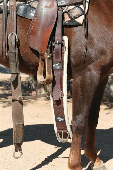 Front Cinch Strap