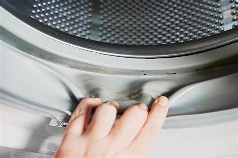 Front Loading Washer That Doesn't Mold