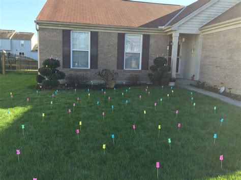 Front Yard Pranks