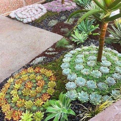 It's all here September 2015 Succulent landscaping front yard