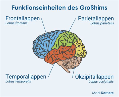 Neurofeedback Der Blog über Neurofeedbacktherapie Handbuch Teil 2