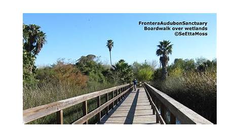 Birding hotspot in So. Texas Frontera Audubon Sanctuary