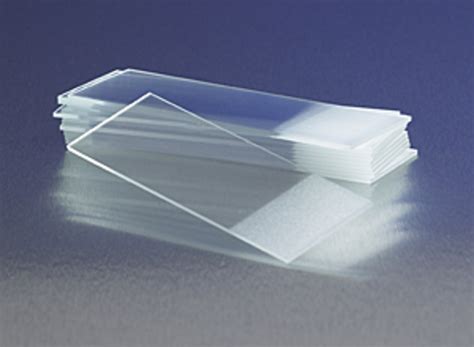 Frosted End Microscope Slides