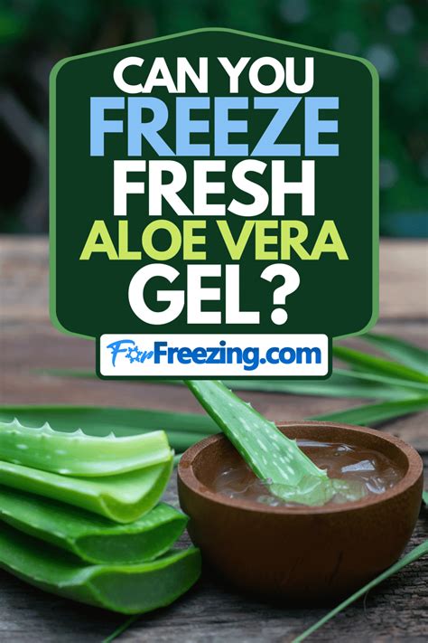Do You Know Why Aloe Vera Should Be Frozen?