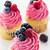 frozen berry cupcake recipe