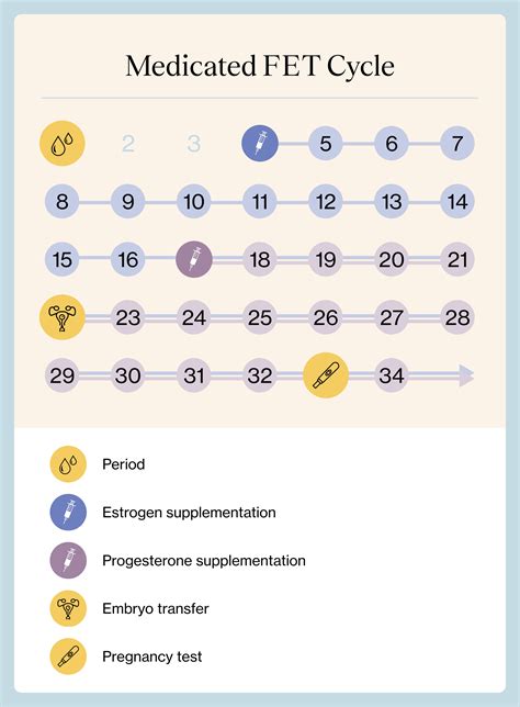 Frozen Embryo Transfer Protocol Calendar