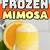 frozen mimosa recipe
