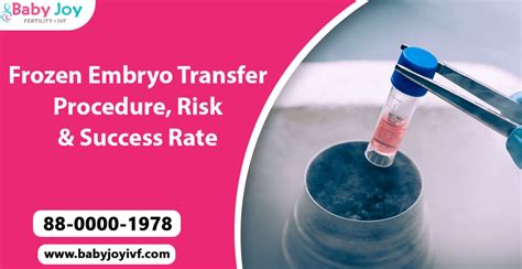 Frozen Embryo Transfer Procedure Code