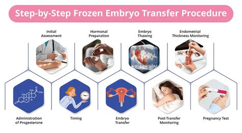 Frozen Embryo Transfer Process