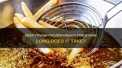 Frozen French Fries Deep Fryer Temp
