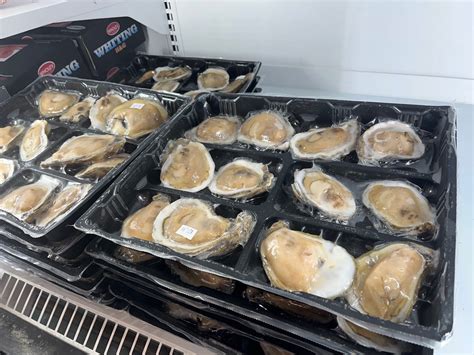 Frozen Half Shell Oysters