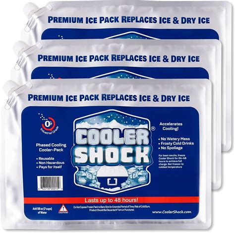 frozen ice packs for coolers