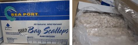 Frozen Scallop Recall