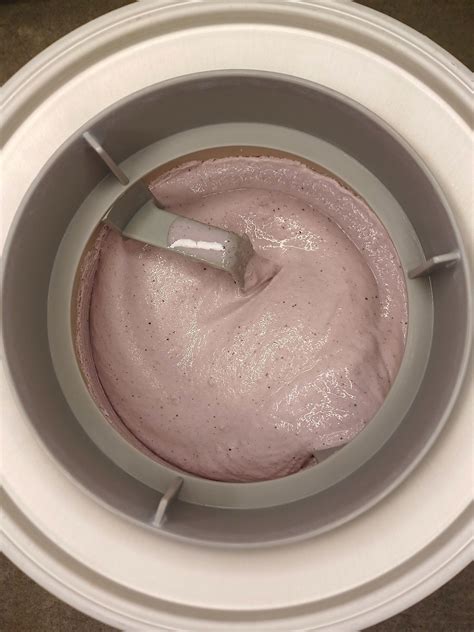 Frozen Yogurt Lactose