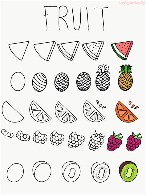 How to Draw Fruit Melon printable step by step drawing
