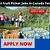 fruit picker jobs in canada lmia number line