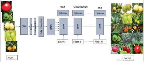 Fruit Classification Using Deep Learning