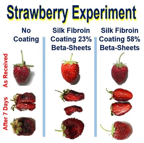 Fruit Coating Silk