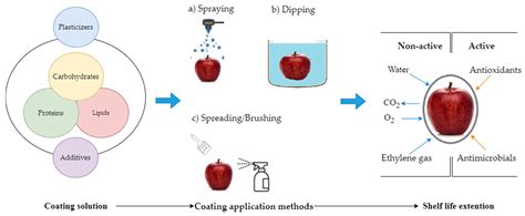Fruit Coating Technology