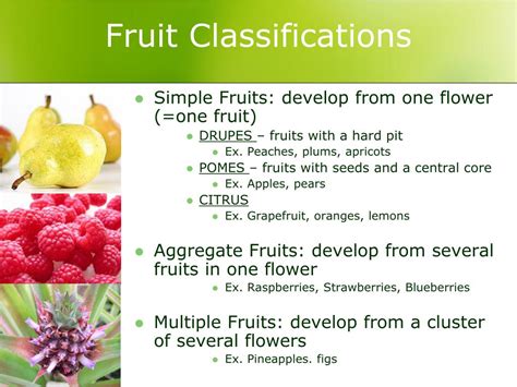 Fruit Crops Classification