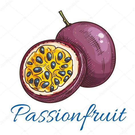 fruit de la passion dessin facile