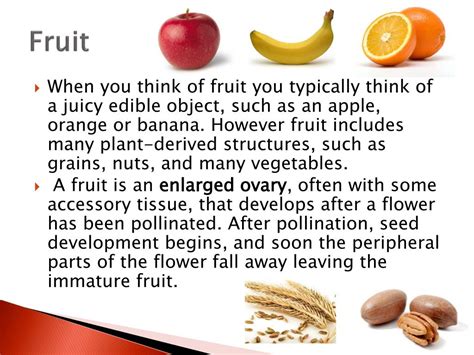 Fruit Definition And Function