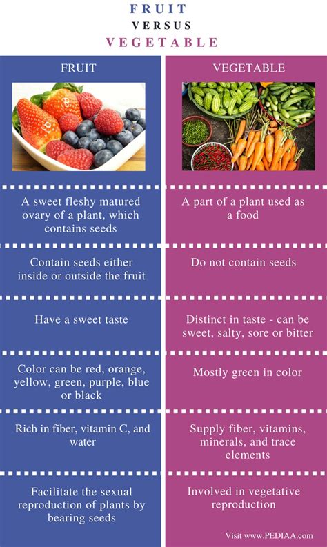 Fruit Definition Vs Vegetable