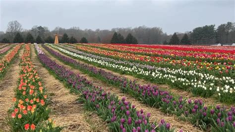 fruit farm experience