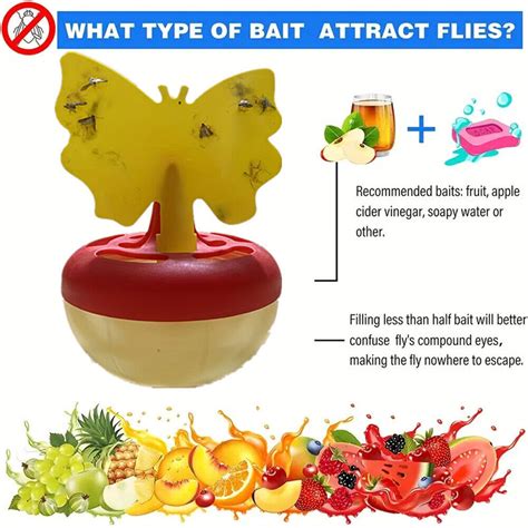 Fruit Fly Trap Ebay