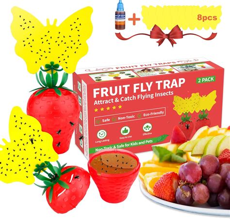 Fruit Fly Trap Heb