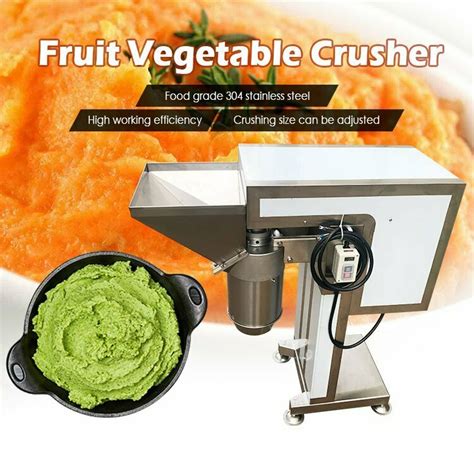 Fruit Grinder Machine