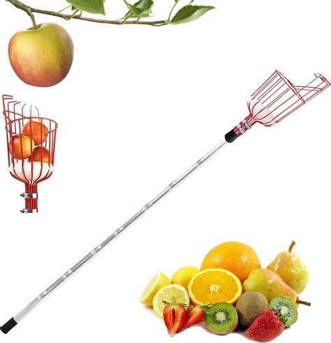 fruit picker cherry
